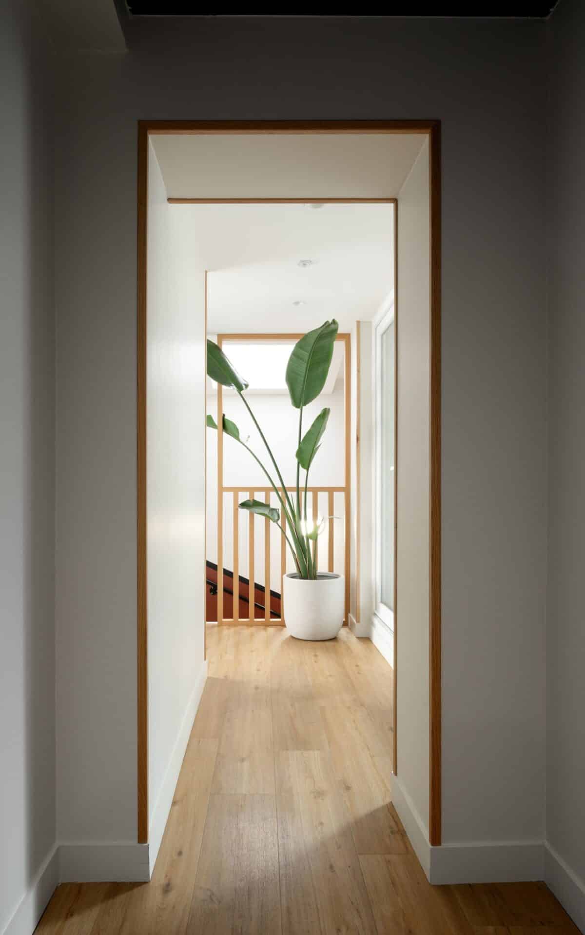 Amélie Domas | Cabinet avocats